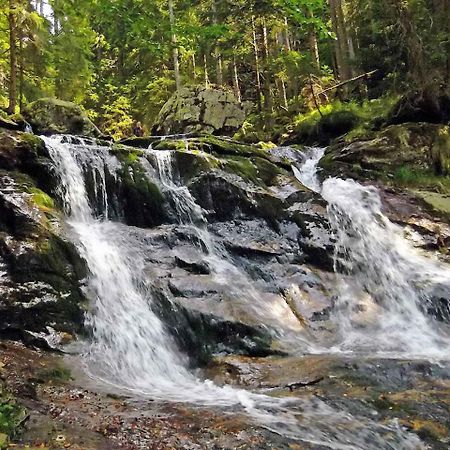 Pension "Bayerwald" Frauenau Bagian luar foto