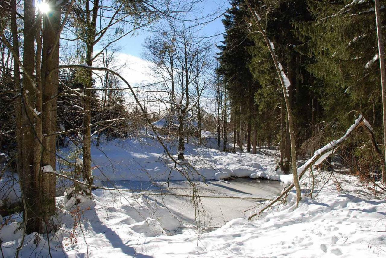Pension "Bayerwald" Frauenau Bagian luar foto