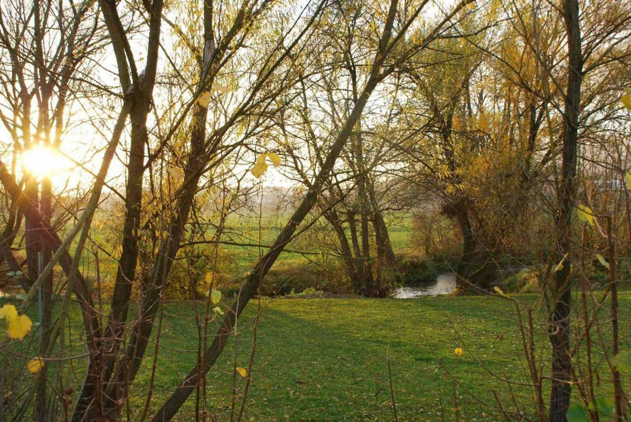 Pension "Bayerwald" Frauenau Bagian luar foto