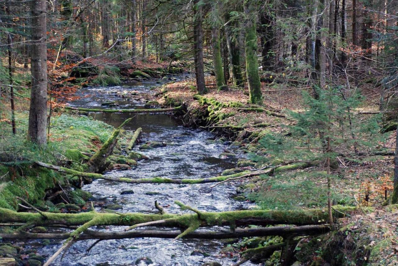 Pension "Bayerwald" Frauenau Bagian luar foto